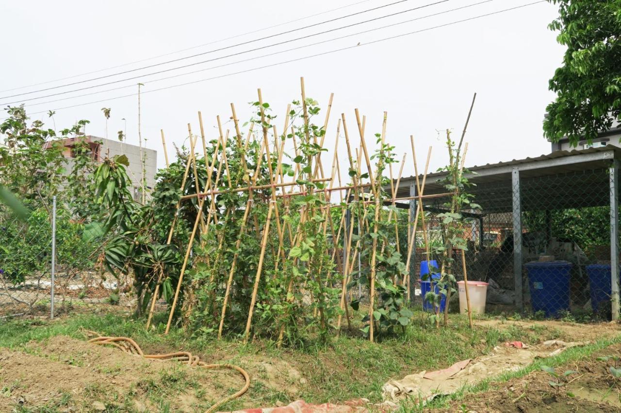 嘉義泊岸居民宿 Lucao Exterior foto