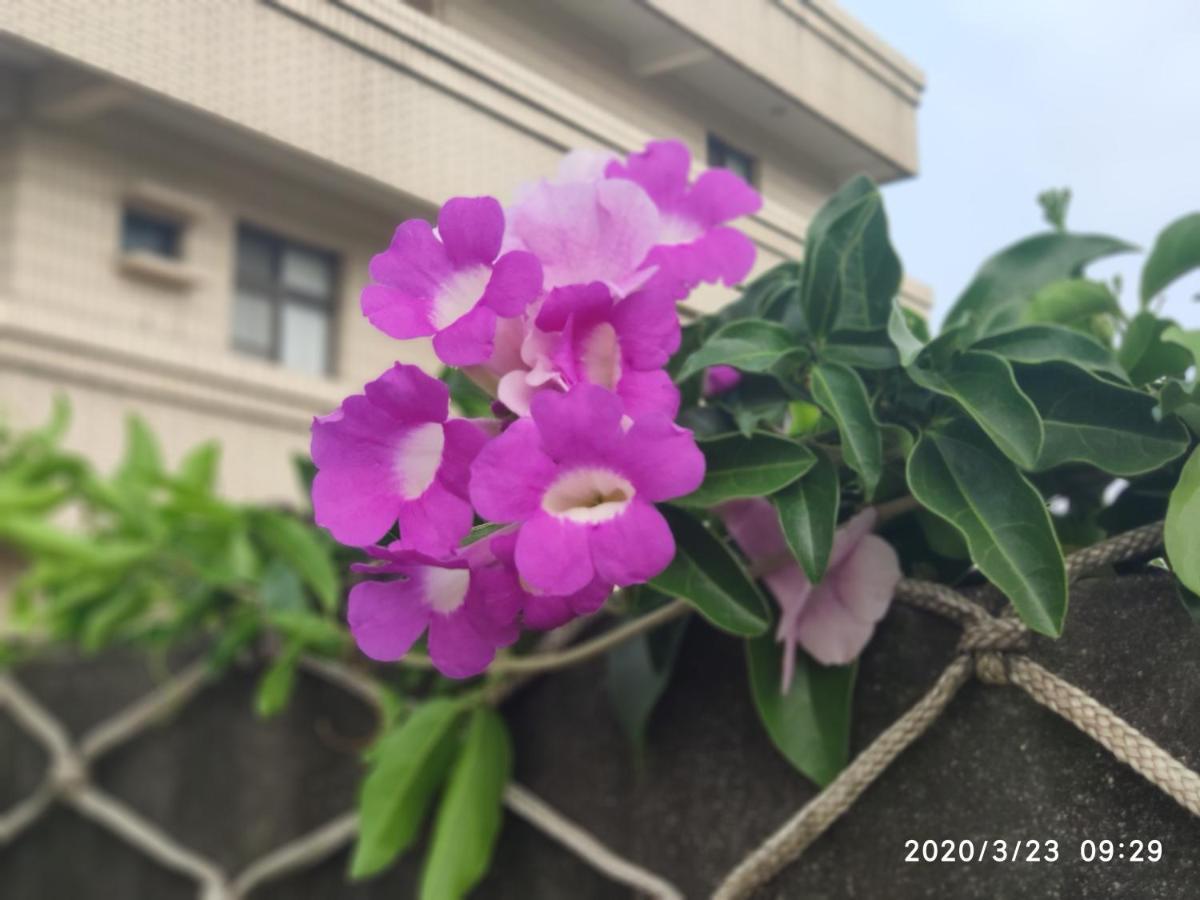 嘉義泊岸居民宿 Lucao Exterior foto